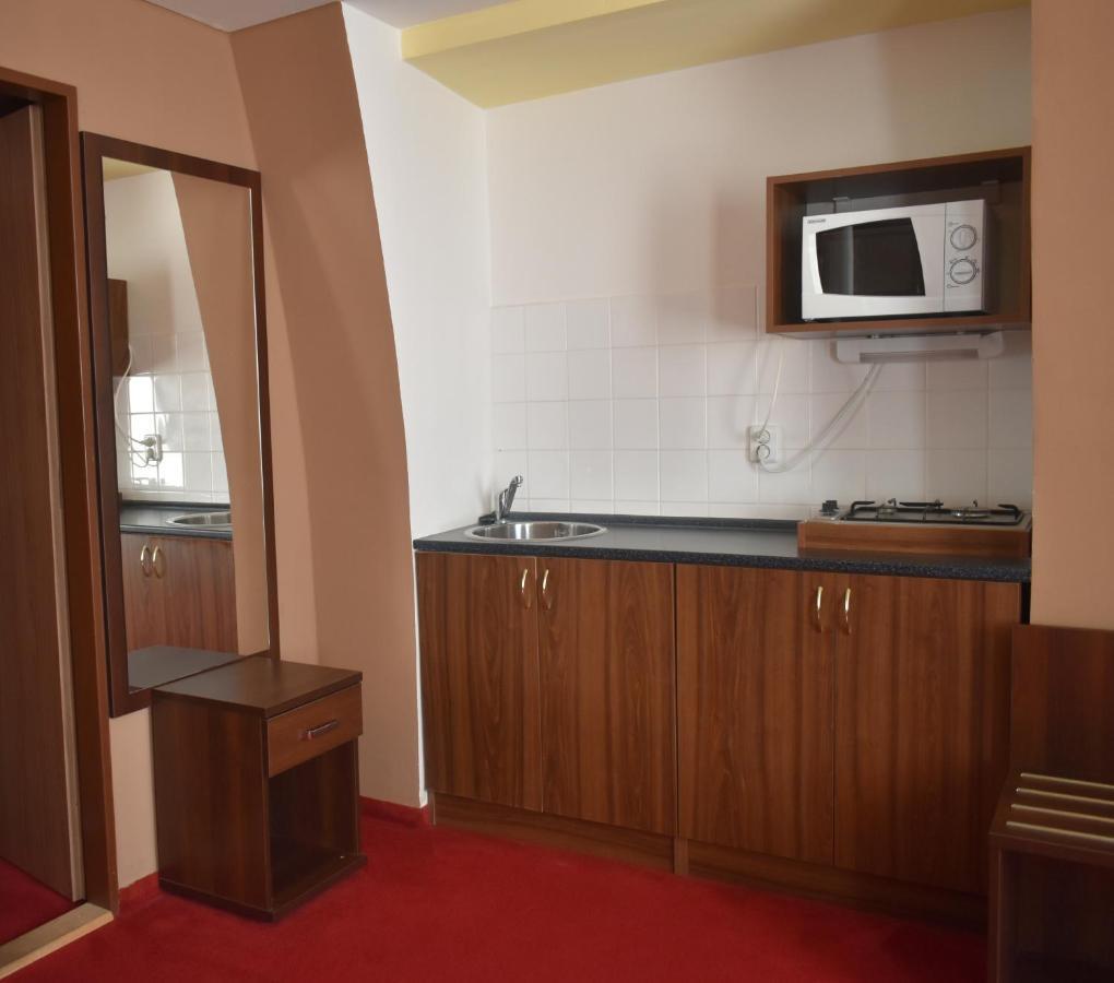 Hotel Cerny Orel Zatec Žatec Exterior foto